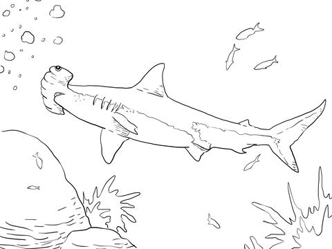 Great Hammerhead Shark Coloring Page